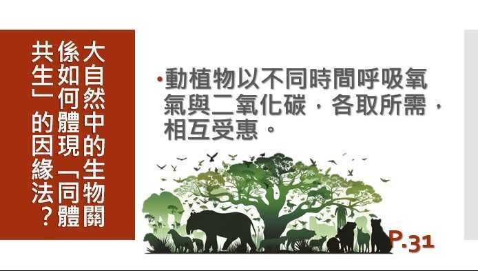 messageImage_1774854906532