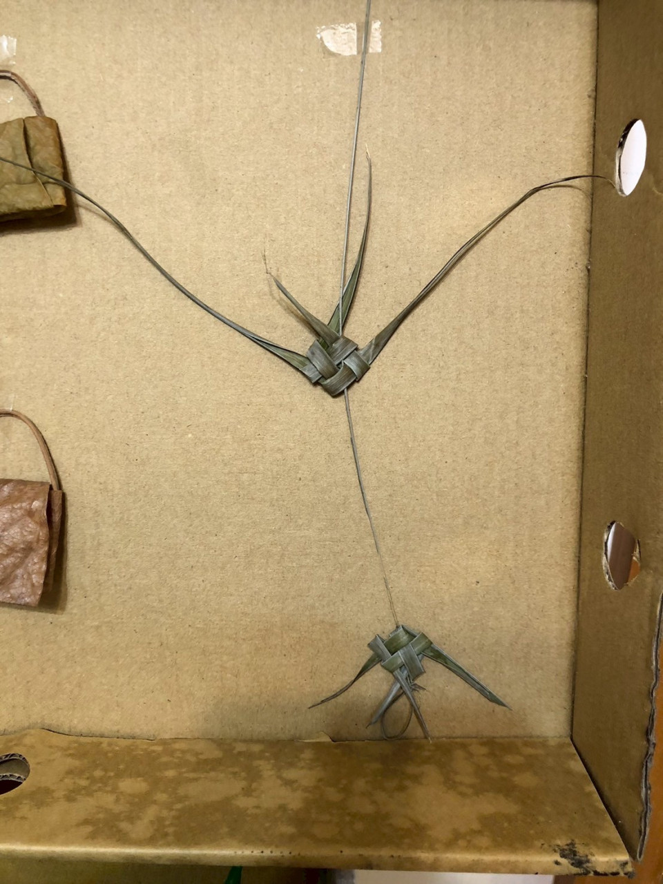 LINE_ALBUM_202565秀珍導讀，嘉貞記錄_250607_28